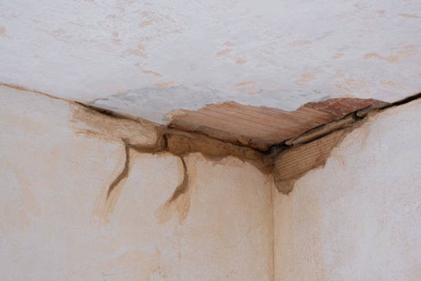 Best Flood damage cleanup  in Sparks, NV