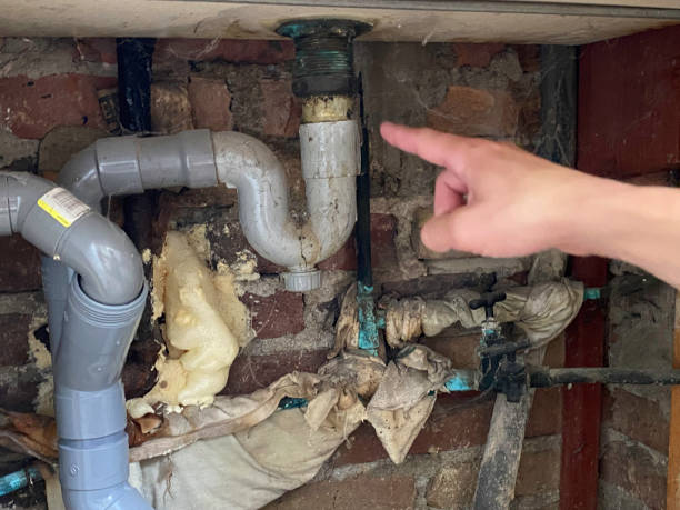 Best 24/7 water damage repair  in Sparks, NV