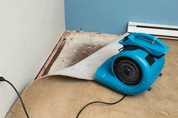 Best Water damage contractors near me  in Sparks, NV